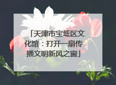 天津市宝坻区文化馆：打开一扇传播文明新风之窗